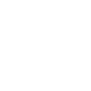 Speed DJ